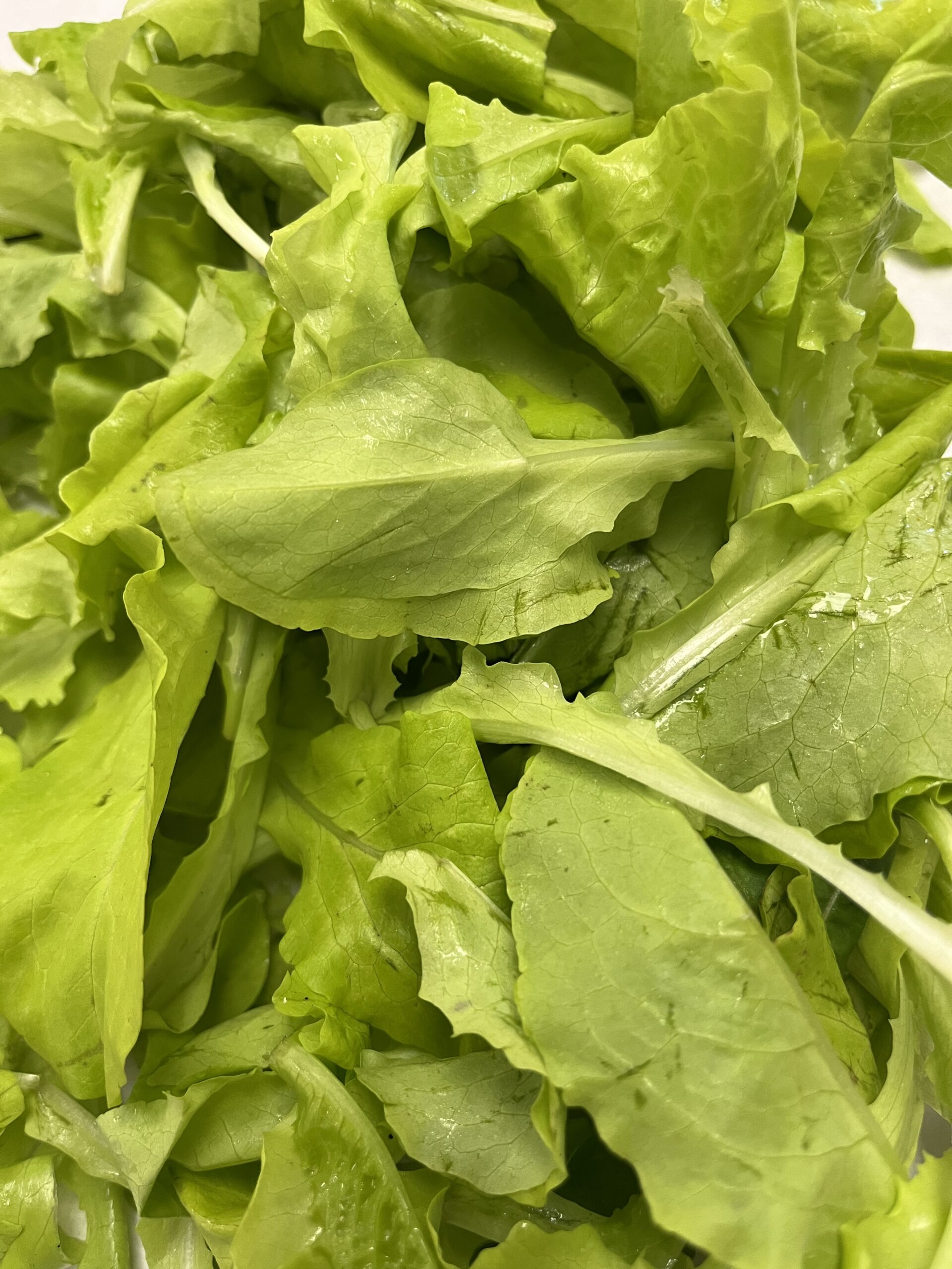Local Lettuce