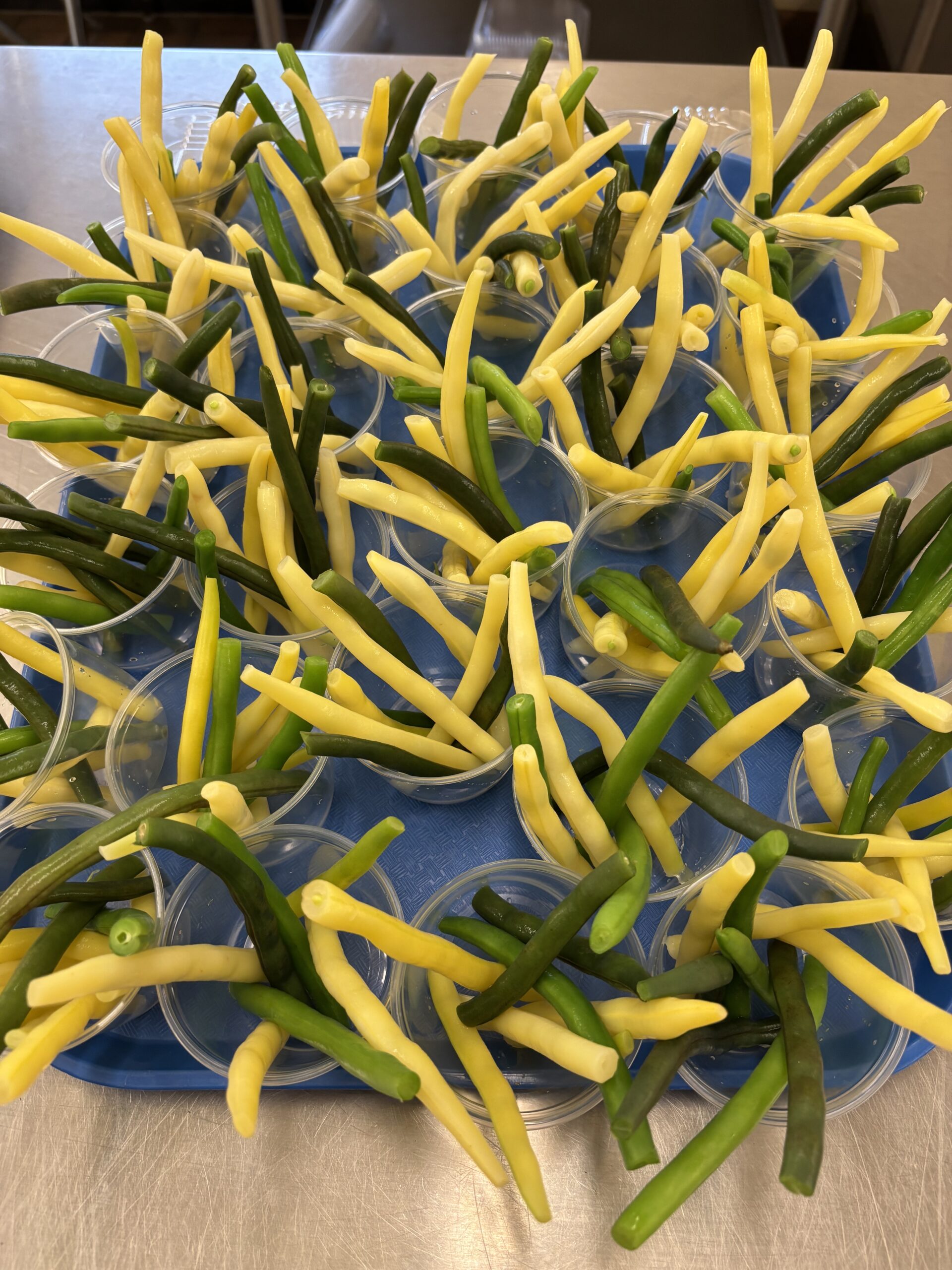 Plant Patch String Beans Cupped