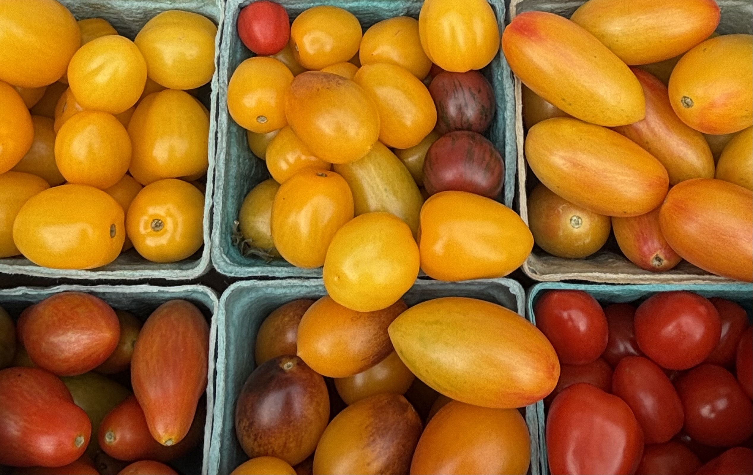 CT Grown Cherry Tomatoes